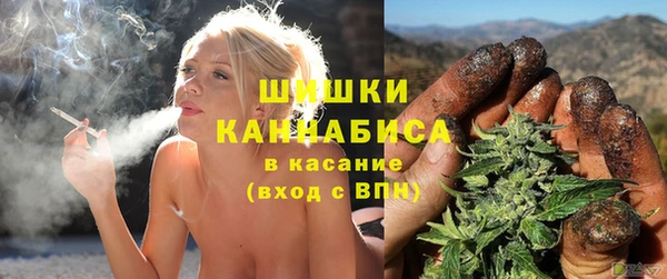 бошки Козельск