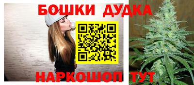 стафф Заволжье