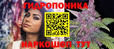 стафф Заволжье