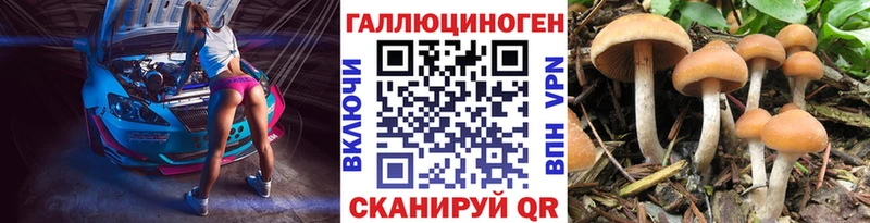 Галлюциногенные грибы Psilocybine cubensis  Миасс 