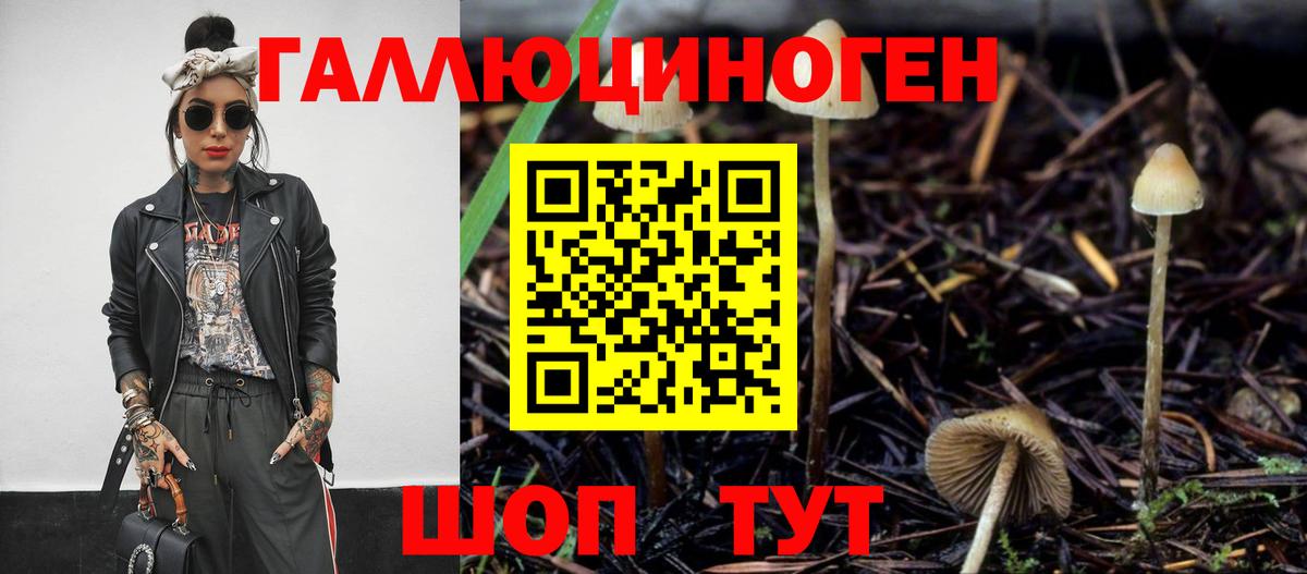 Галлюциногенные грибы Cubensis  Псилоцибиновые грибы прущие грибы  Миасс 