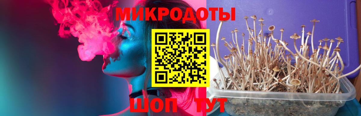 Миасс  Галлюциногенные грибы ЛСД  Псилоцибиновые грибы MAGIC MUSHROOMS  Вход с VPN 